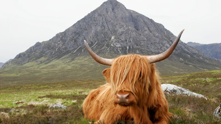 Scotland