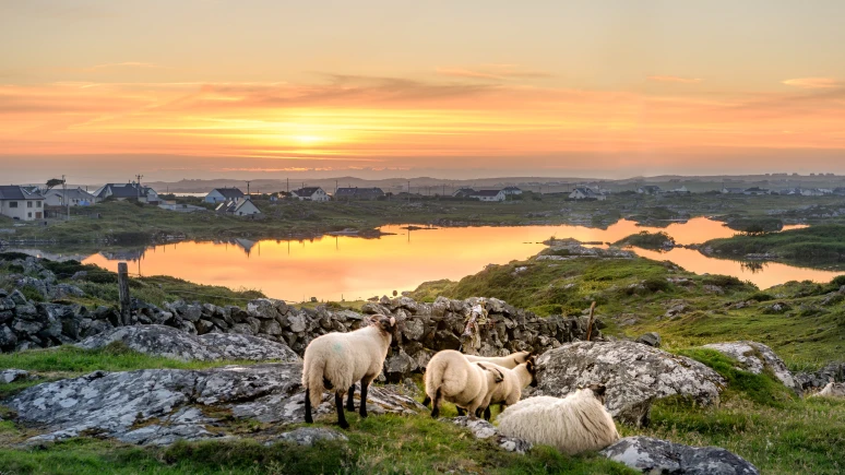Ireland