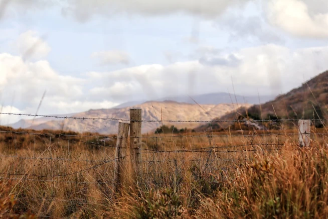 Top things to do in Cork