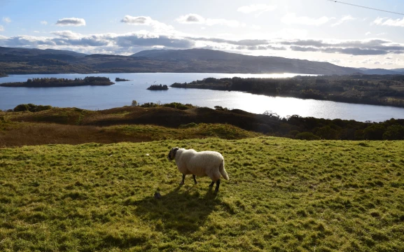 Pathways to the Heart of Scotland
